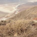 Death Valley - Dante's view